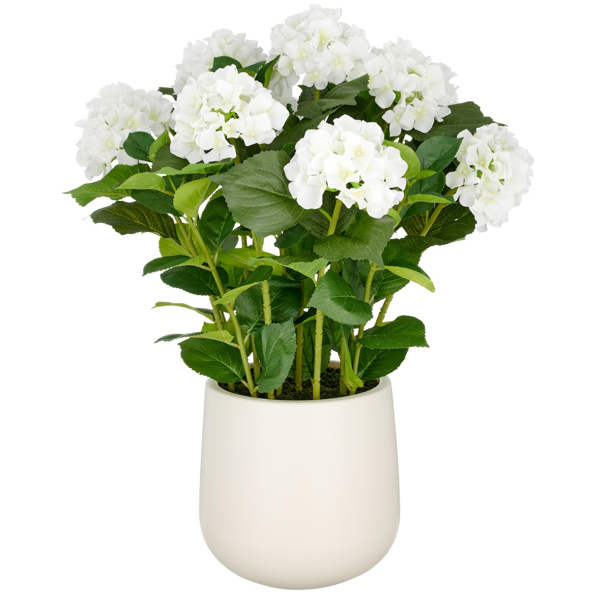 CREATIV green künstliche Pflanze Hortensien Arrangement im Topf, 70cm, weiß