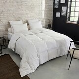 thumbnail of Couette Premium Naturelle Tempérée - 30% duvet - 240/260 - DUNLOPILLO