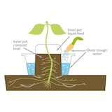 thumbnail of Pflanzgefäß mit Wasserspeicher