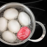 thumbnail of Westmark Egg timer Hardy, 10872280