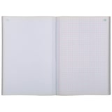 thumbnail of Exacompta - Réf. 3251E - Paquet de 10 Manifolds quadrillés 5x5 21x14,8cm 50 feuillets tripli autocopiants