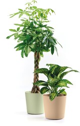 thumbnail of EURO3PLAST Blumentopf Fyre Ø 25 cm dune