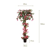 thumbnail of Bouganville intrecciata 185 cm - Naturing Monde - Per interni - Alta qualità - Tronco naturale