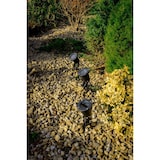 thumbnail of Außenleuchte Gartenstrahler mit Erdspieß HORTUS BLACK IP65 GU10 schwarz EDO777112 EDO