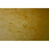 thumbnail of Exacompta - Réf. 541209E - Carton de 10 trieurs dos agrafé - avec élastiques noire - 12 compartiments - dim 24,5x 32 cm - A4 - couleur jaune