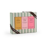 thumbnail of Laura Ashley Duftöl Geschenkset, Lotus & Orchid, Sandalwood & Sage, Ylang Ylang & Musk, 3 x 10ml, Glas, Raumduft