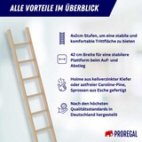 thumbnail of PROREGAL Sprossen-Anlegeleiter Holz ohne Traverse 8 Sprossen