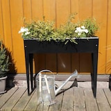 thumbnail of SIENA GARDEN Hochbeet Slim Hochbeet Slim, 98x25x82 cm