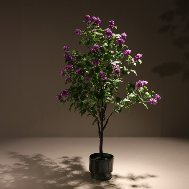 mobile_image