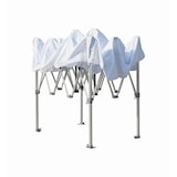 thumbnail of Carpa 2X3 GALOP23M