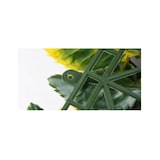 thumbnail of Decoração de Jardim Vertical Maple - 50x50 Cm 4Pcs.