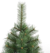 Ein grüner Weihnachtsbaum mit Nadeln.