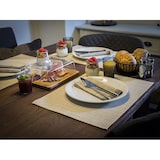 thumbnail of APS Placemat 45 x 33 cm