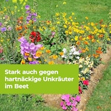 thumbnail of Protect Garden Permaclean Duo Unkraut & Wurzel Ex 500 ml