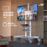 thumbnail of ONKRON Soporte TV con Ruedas y Altura Regulable, para Pantallas de 50 a 86", hasta 105 kg, VESA máximo 800x500 mm, TS1881-W Blanco