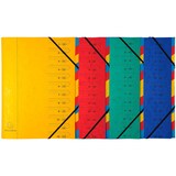 thumbnail of Exacompta 54120E 8x Ordnungsmappe aus Colorspan-Karton 355g/m2 mit Gummizug, 12 Fächer, für Format DIN A4 - Farben sortiert