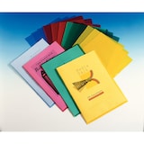 thumbnail of Boîte de 100 pochettes coin, format A4, en PP grainé 120µ, incolore