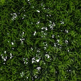 thumbnail of Atmosphera - Carly Graskugel Durchmesser 37 cm