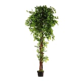 thumbnail of Pianta artificiale Ficus intrecciata 180cm | Naturing Monde - Interno - Tronco naturale