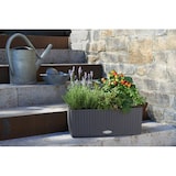 thumbnail of LECHUZA BALCONERA Cottage 50 Outdoor Pflanzgefäß Wand-montiert Polypropylen (PP) Grau