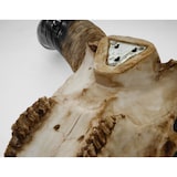 thumbnail of Décoshop26 -Teschio decorativo 64cm trofeo testa di toro corna lunghe poliresina interno/esterno naturale 04_0002841