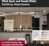 Schwarze Pendelleuchten und Spots an einer Schiene.
