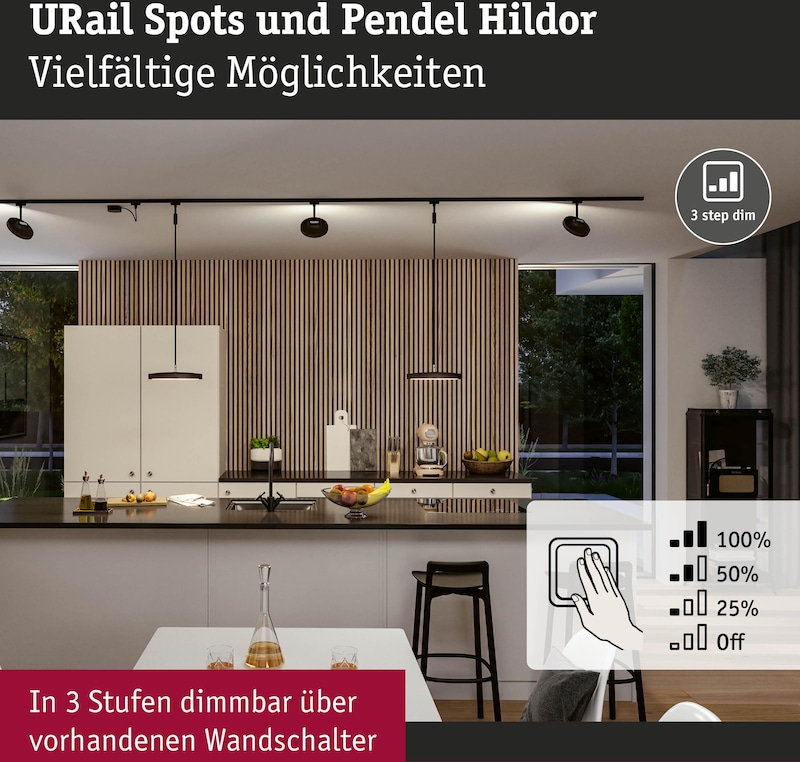 Schwarze Pendelleuchten und Spots an einer Schiene.