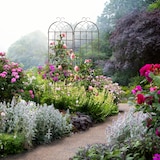 thumbnail of Relaxdays Rankgitter Metall, 2er Set, Rankhilfe für Kletterpflanzen, zum Stecken, Rankspalier HxBxT: 220x52x2 cm, braun