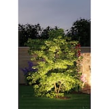 thumbnail of Paulmann Plug & Shine LED Gartenstrahler Sting Basisset  IP67 3000K 3x6,4W  75VA Anthrazit 93696