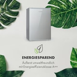 thumbnail of Delaware Kühlschrank 75 Liter 4-Liter-Gefrierfach Kompression Silber-Metallic