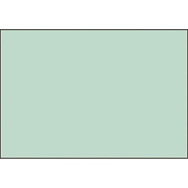 BRUNNEN Karteikarte 102250050 DIN A5 blanko gn 100 St./Pack.