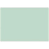 thumbnail of BRUNNEN Karteikarte 102250050 DIN A5 blanko gn 100 St./Pack.