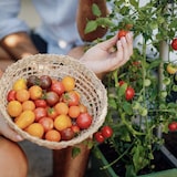 thumbnail of Gusta Garden Tom Tomato Draußen Topfpflanzer Freistehend Aluminium, Polypropylen (PP) Grau