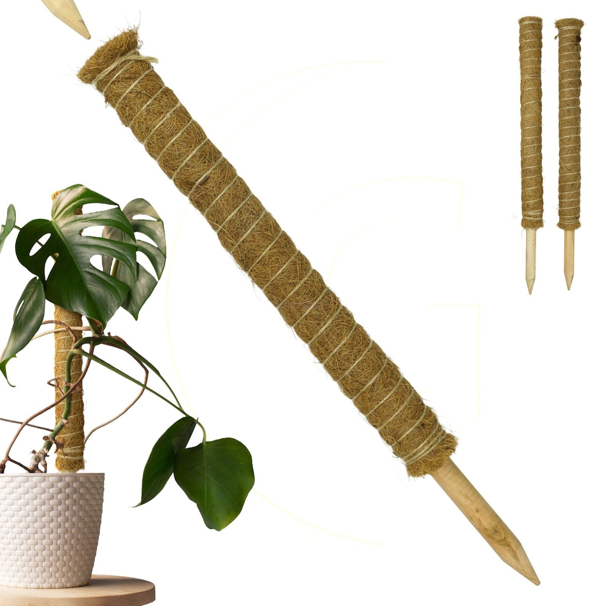 Erweiterbare Pflanzenstütze mit Kokosfilz – Rankhilfe 60 cm