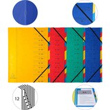 thumbnail of Exacompta 54120E 8x Ordnungsmappe aus Colorspan-Karton 355g/m2 mit Gummizug, 12 Fächer, für Format DIN A4 - Farben sortiert