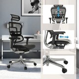 thumbnail of Bureaustoel / directiestoel ERGOHUMAN GEN2 zitting leder / rugleuning netbespanning zwart hjh OFFICE