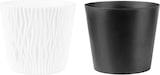 thumbnail of WellHome - Set mit 3 Pflanztöpfen 5L Sandy Round Ø22,5 cm/Stück in Weiß