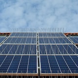 thumbnail of 9 Meter Duivenwering met RVS Spikes en Kunststof Basis - Duivenstrips Vogelwering Duivenafweer