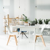 thumbnail of Planta artificial ZAMIE verde hjh OFFICE