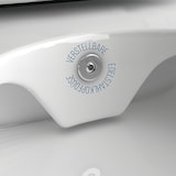 thumbnail of Alpenberger Toilette mit Geberit Spülkasten und Drückerplatte | Spülrandloses Hänge WC mit Bidet Funktion | Dusch WC mit WC Sitz | Vorwandelement WC