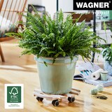 thumbnail of WAGNER Pflanzenroller PALETTI Ø 35 x 8 cm, für den Innenbereich, Buchenholz, natur, Tragkraft 100 kg, EU Ware - 20031901