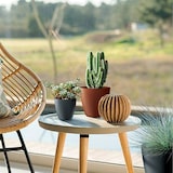 thumbnail of Prosperplast - Vaso Mate 17,8cm na cor tijolo queimado