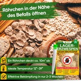 thumbnail of Lagererzwespen gegen Brotkäfer, Reiskäfer & Co. - 4