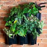 thumbnail of Prosperplast - Fioriera verticale Cascade Wall in plastica color antracite 67x17,7x57 cm