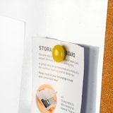 thumbnail of SIGMA Magneti, plastica, Ø 2 cm, colori assortiti, 6 unità