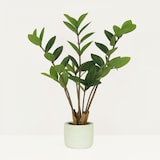 thumbnail of LIGNE DÉCO Plante verte zamioculcas artificiel 48cm