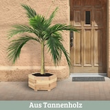 thumbnail of Pflanzkasten Holz 6-eckig MICHA - Inkl. Vlies und Handschuhe | Pflanzkübel Tannenholz Blumenkasten Blumenkübel Blumentopf Terrasse, 46cm Breit