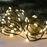 Lichterkette mit Tannenzweigen.