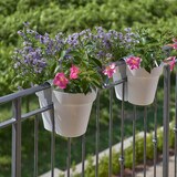 thumbnail of Balkonhängetopf BE-UP 25 cm, taupe