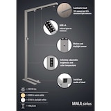 thumbnail of LED-Standleuchte Maulsirius  Beweg.- Lichtsensor col. var. silber